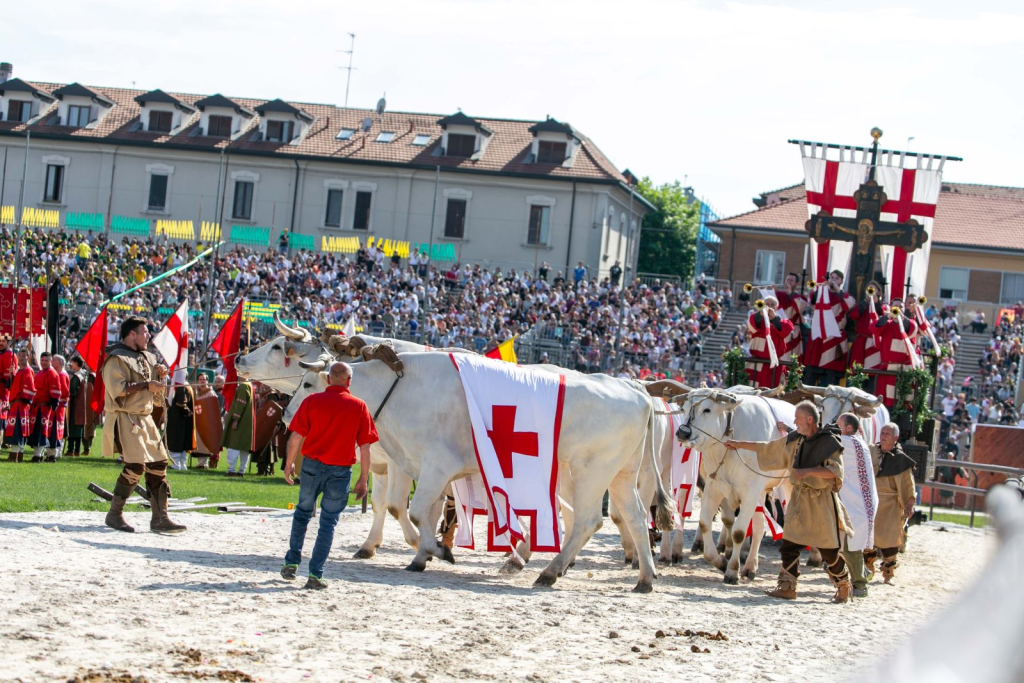 Palio: settimana finale tra eventi, tradizione e dirette TV e streaming