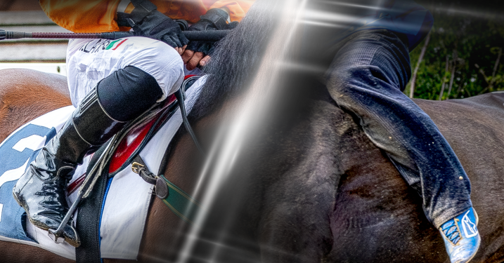 Legnano e la passione per il cavallo