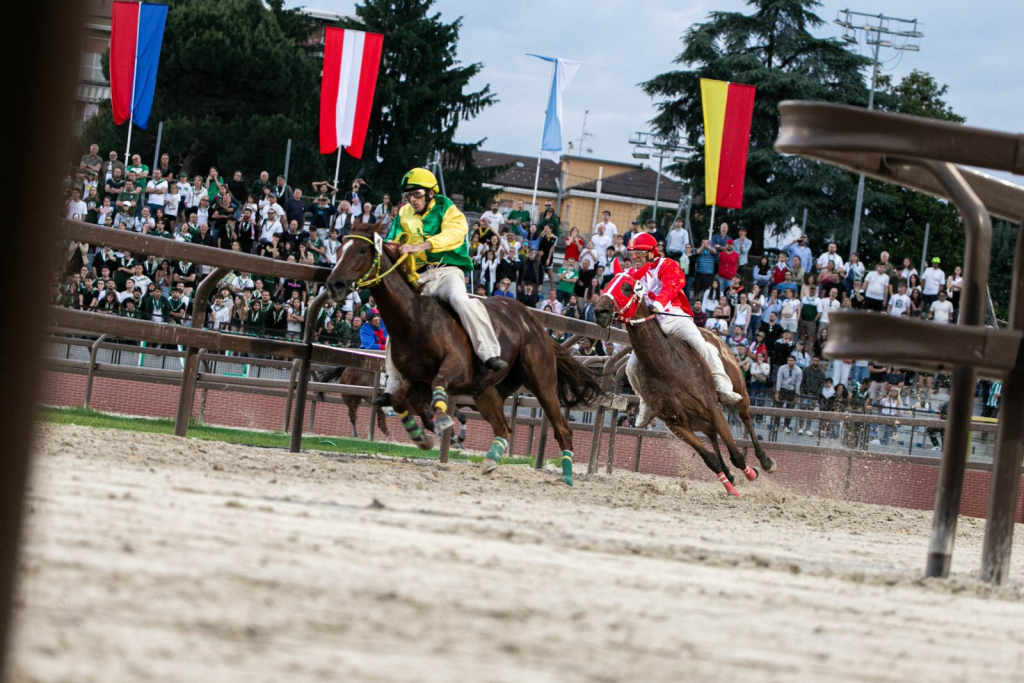 Palio di Legnano 2026: cavalli al via tra conferme e cambi dell’ultima ora