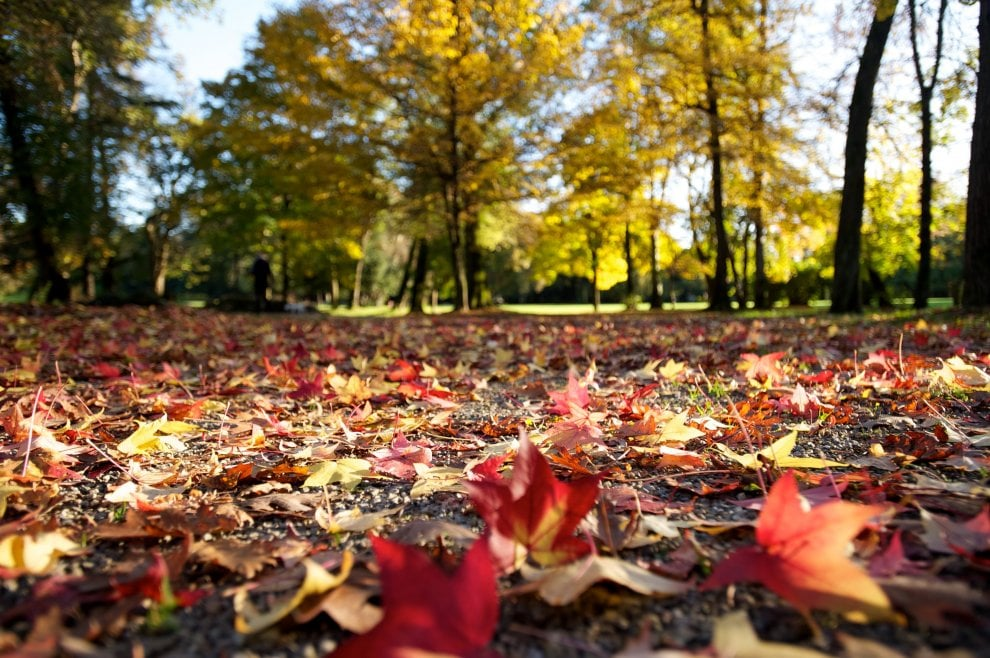 Fiera d’Autunno